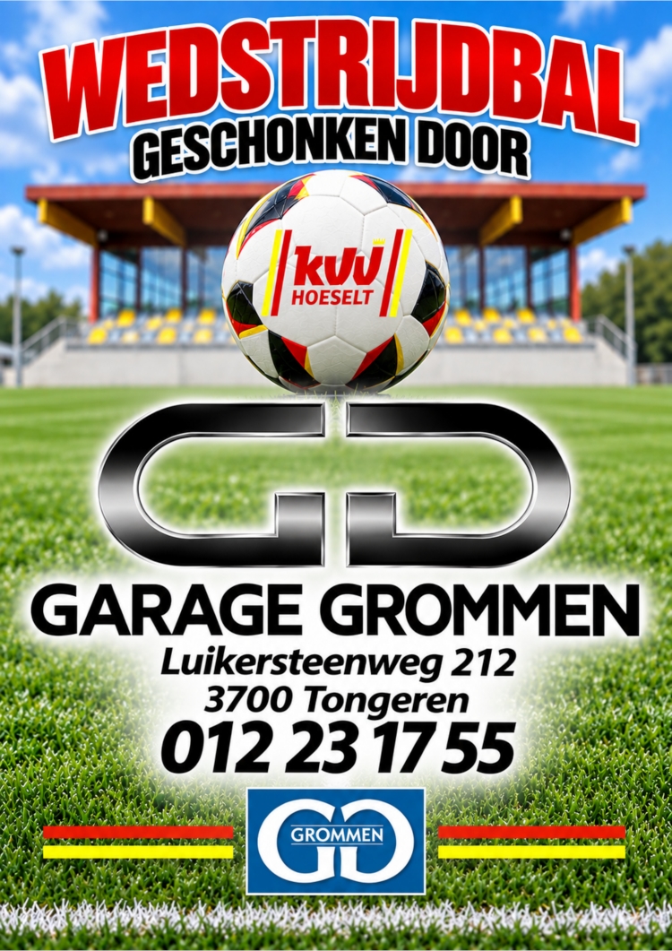 Wedstrijdbal Garage Grommen